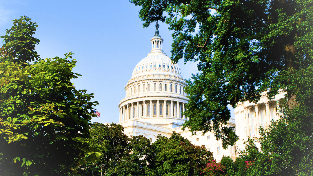 Washington DC - Delhi