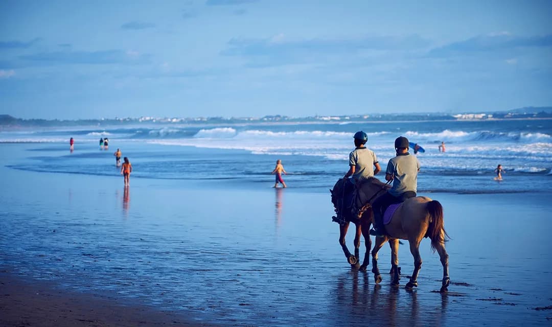 Tour highlight image