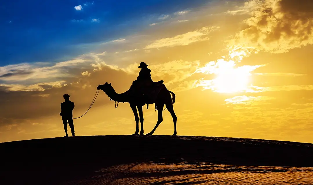 Luxurious Rajasthan