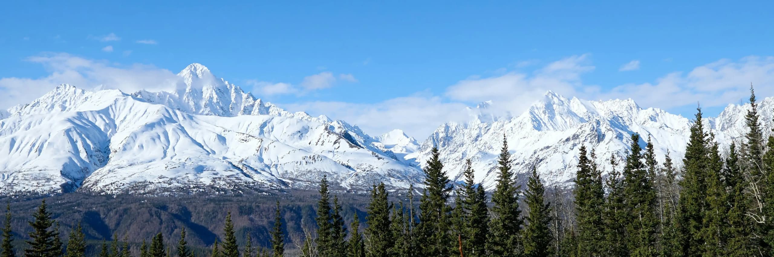 Hot Offers Hero Image