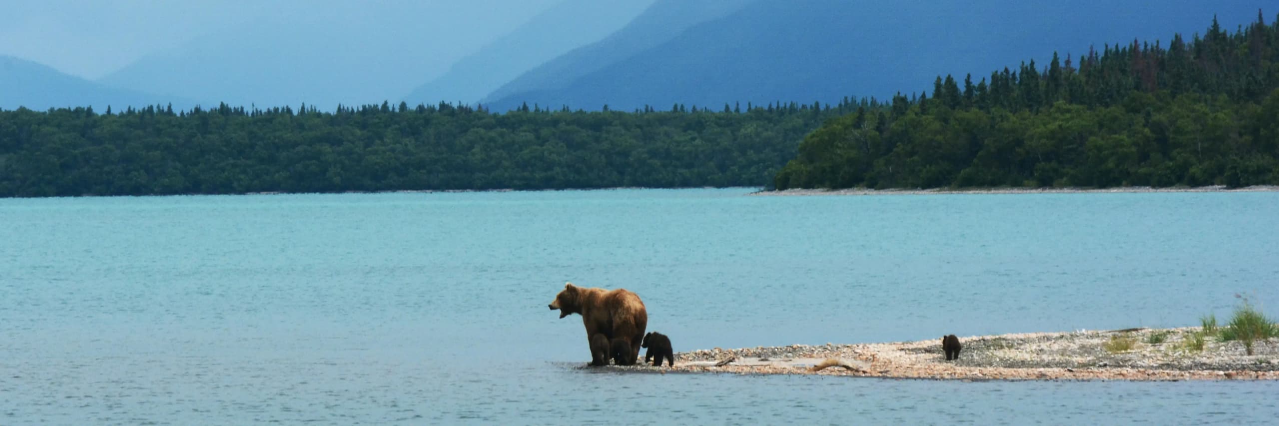 Hot Offers Hero Image