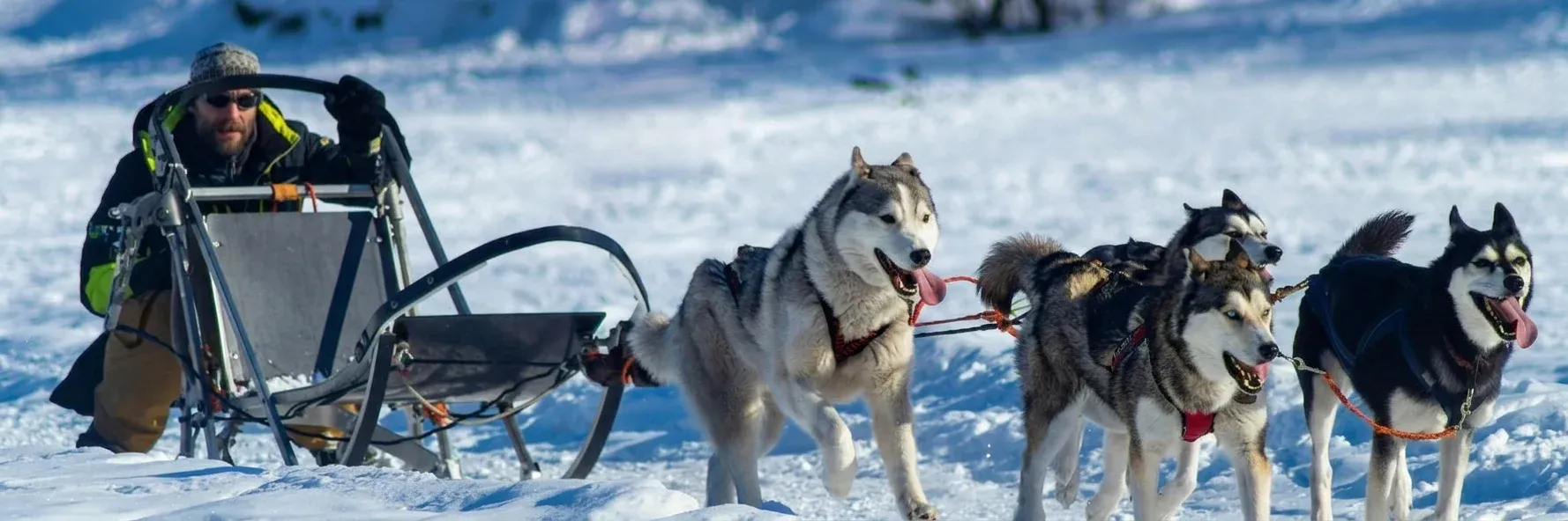 Hot Offers Hero Image