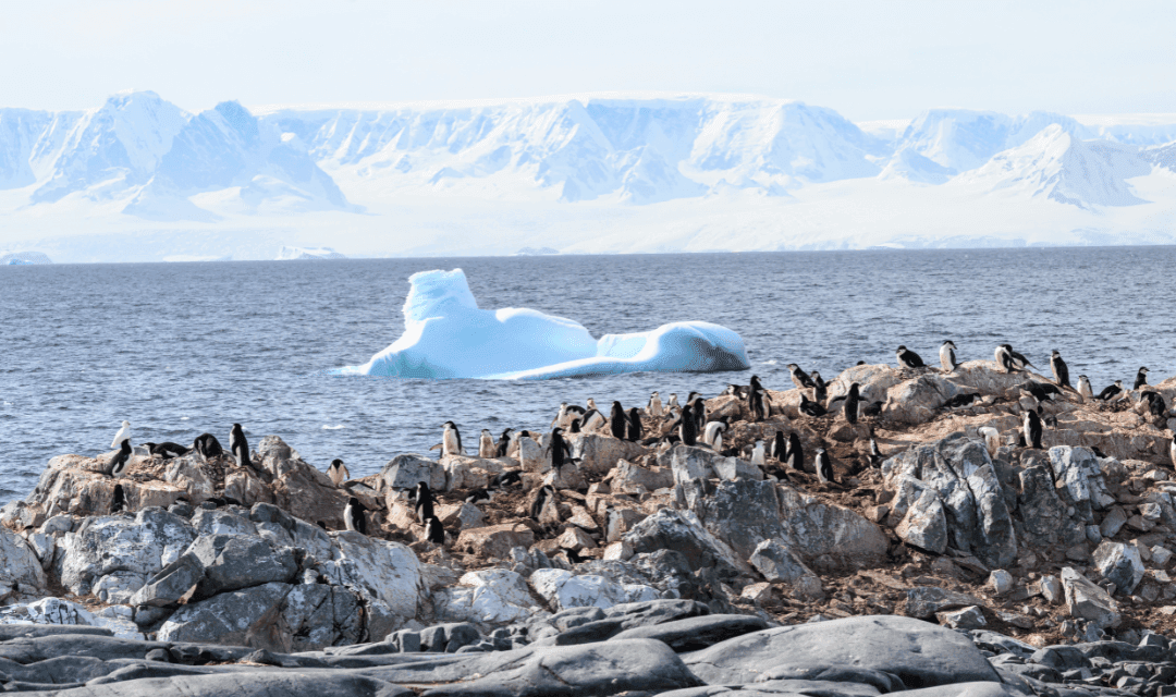 Tour highlight image