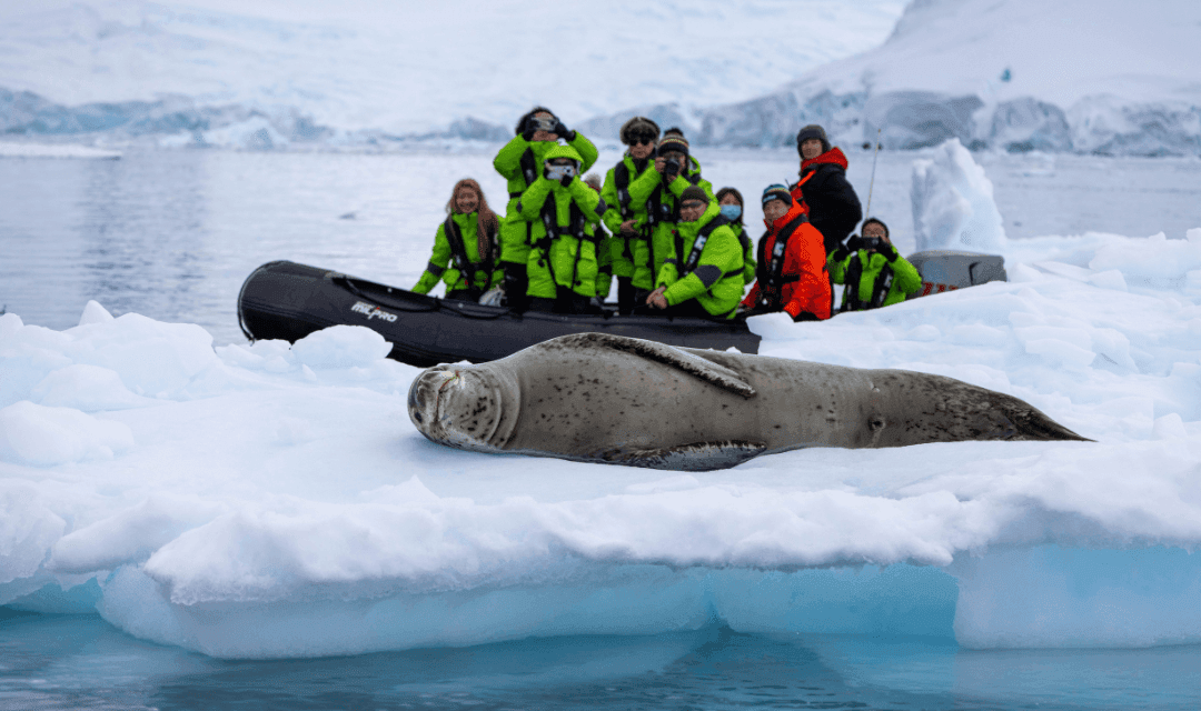 Tour highlight image