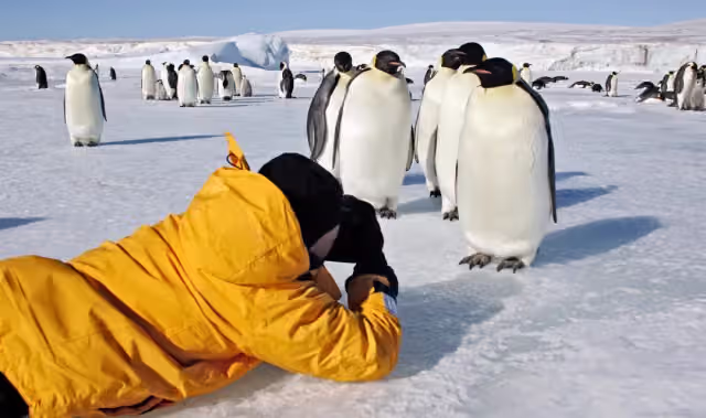 Antarctic Express Fly Drake