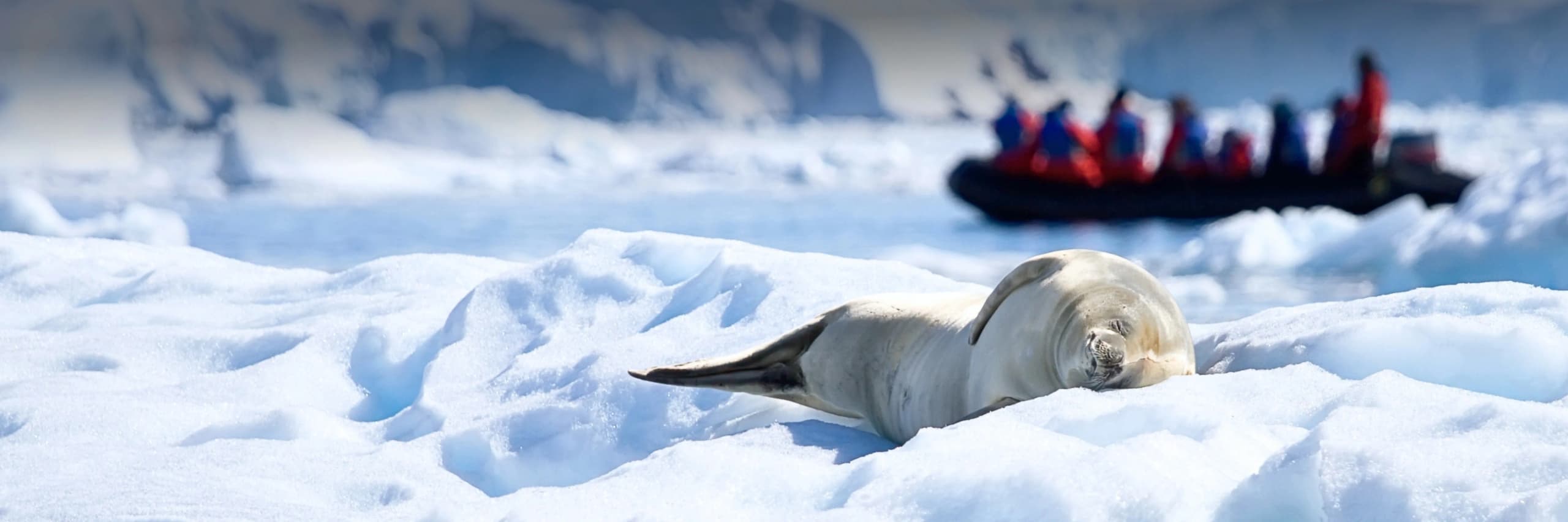 Hot Offers Hero Image