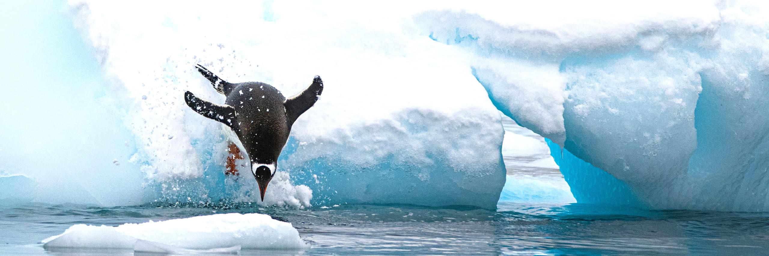 Hot Offers Hero Image