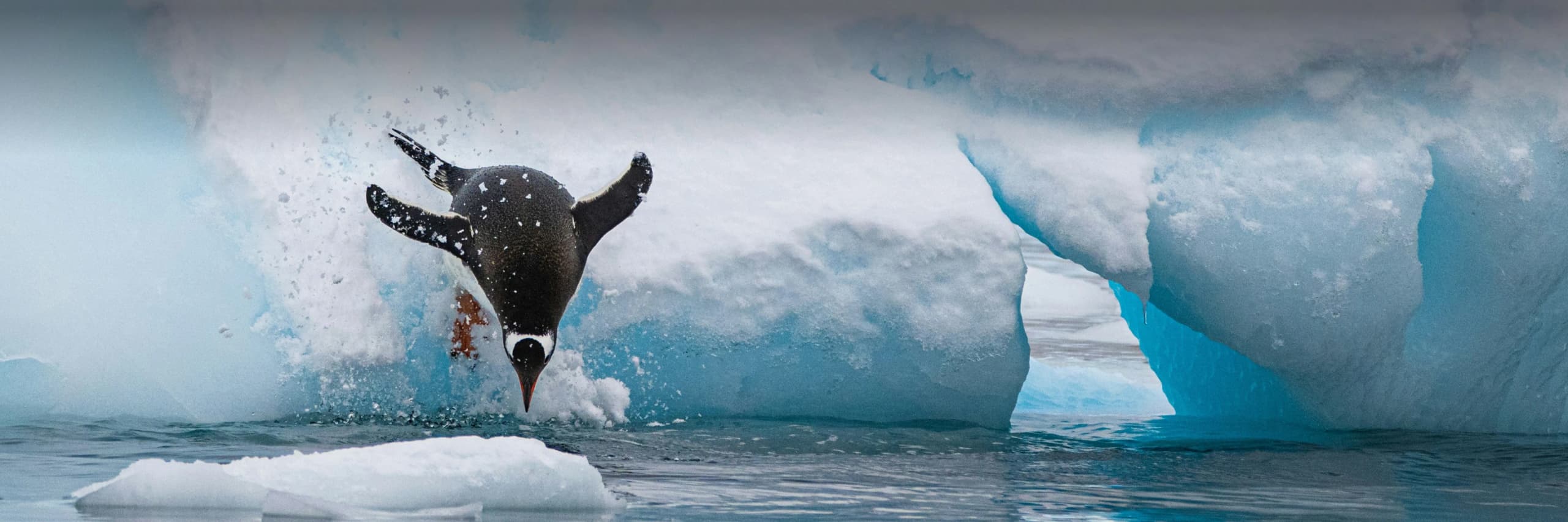 Hot Offers Hero Image