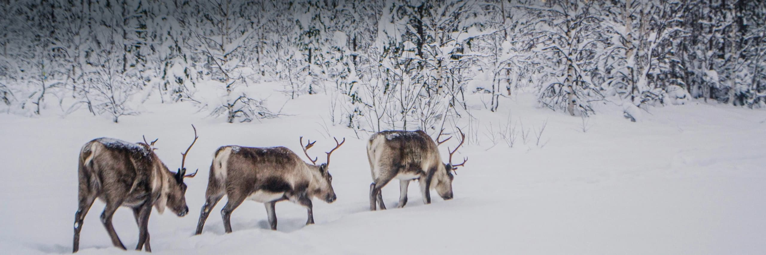 Hot Offers Hero Image