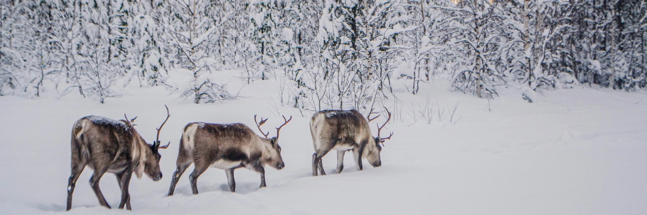 Hot Offers Hero Image