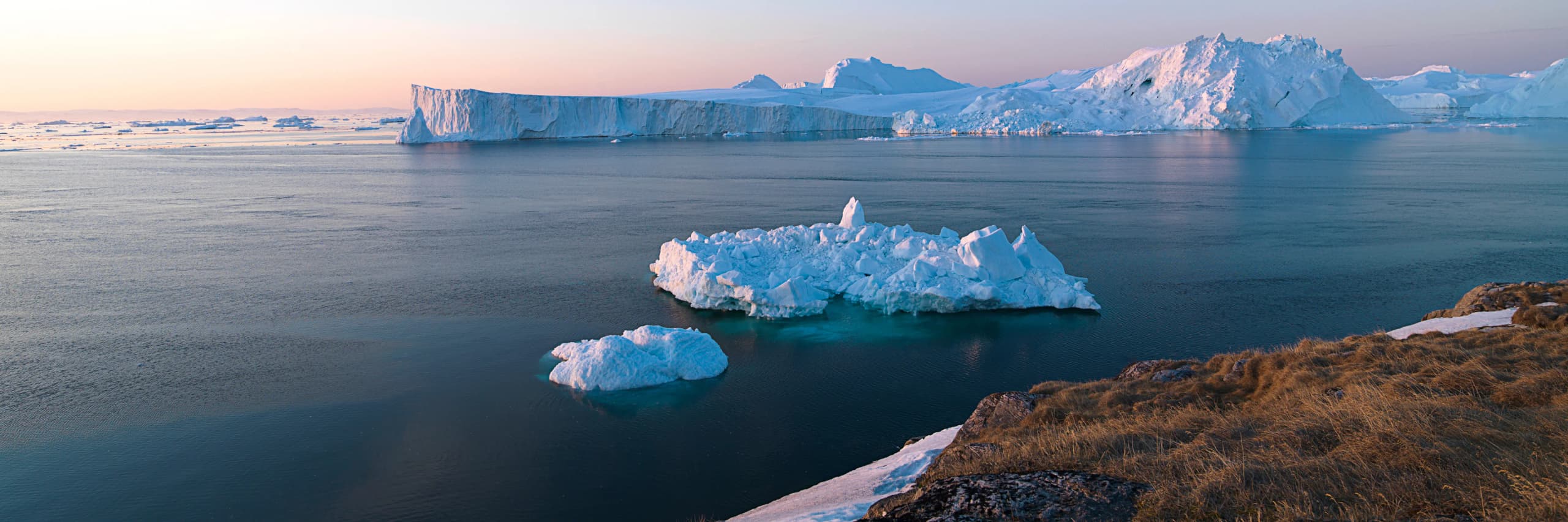 Why an Arctic Expedition Should Be on Your Bucket List