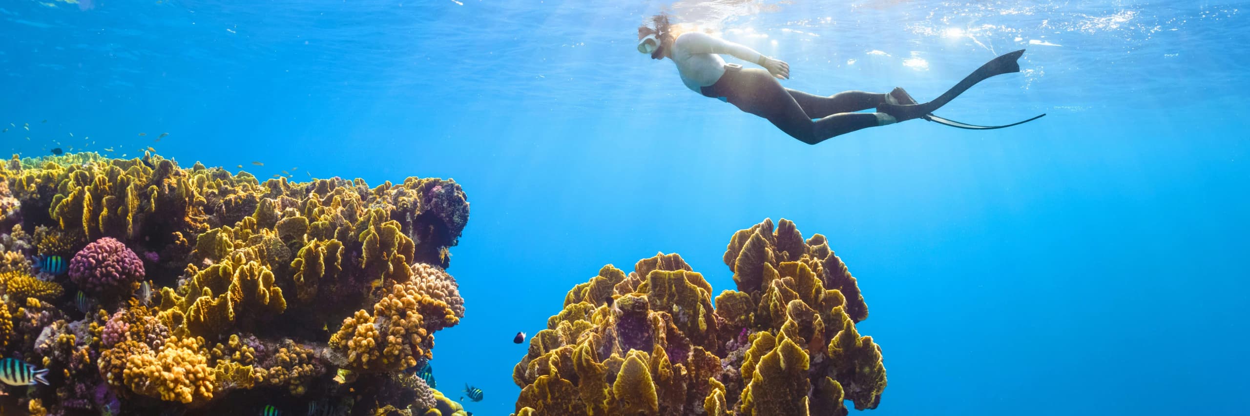 Itinerary destination image