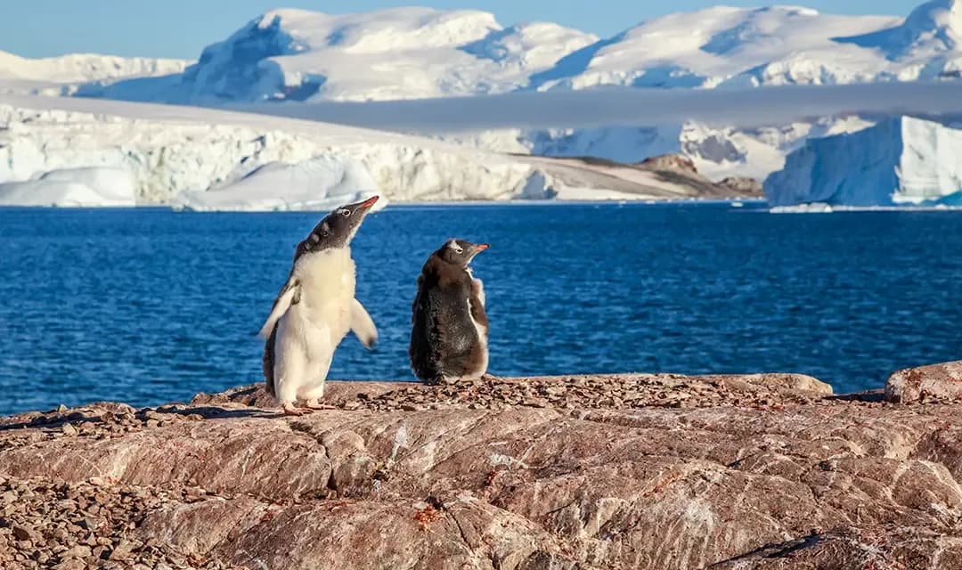 Tour highlight image