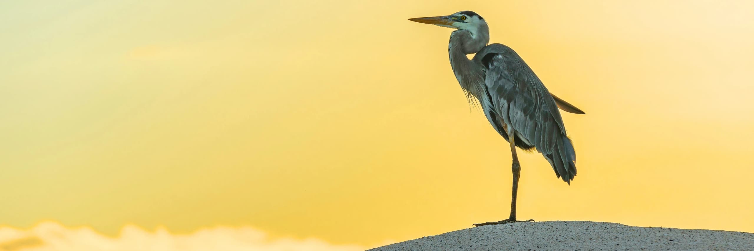 Itinerary destination image