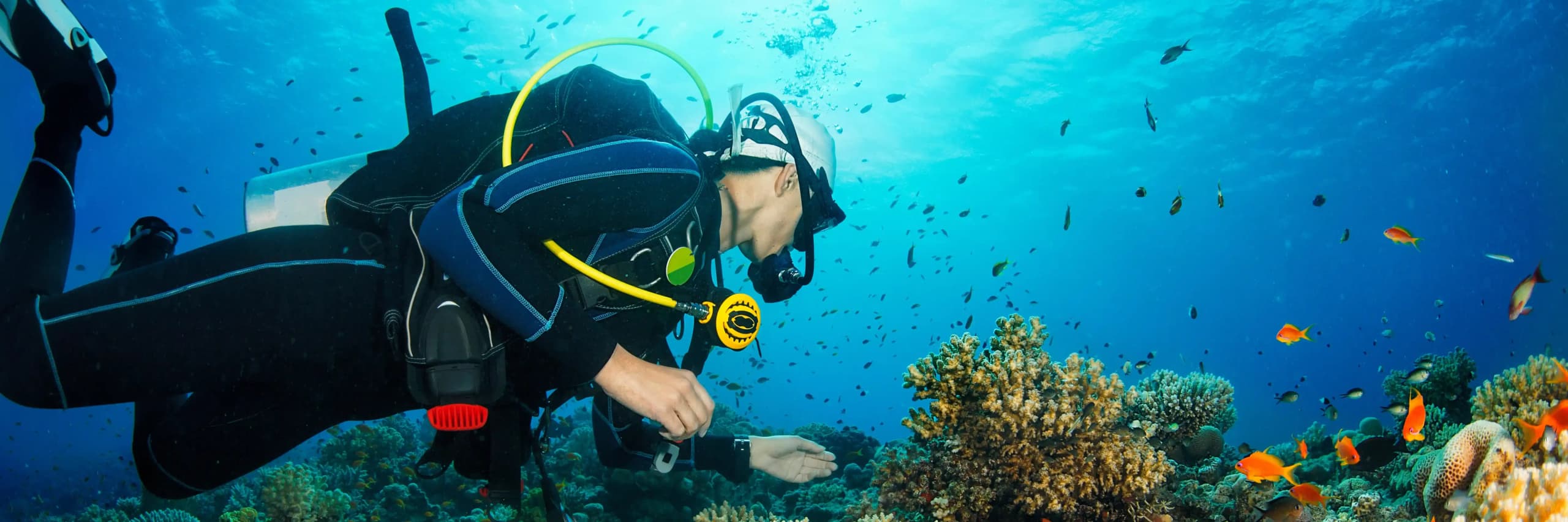 Hot Offers Hero Image