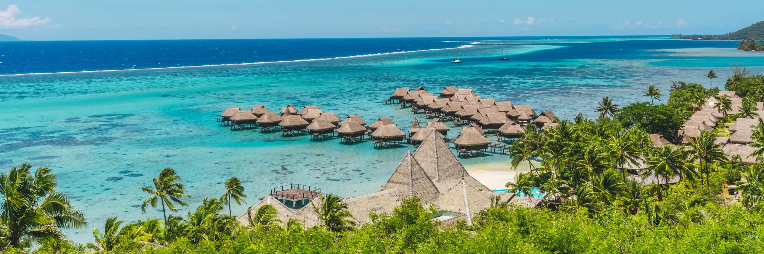 Hot Offers Hero Image