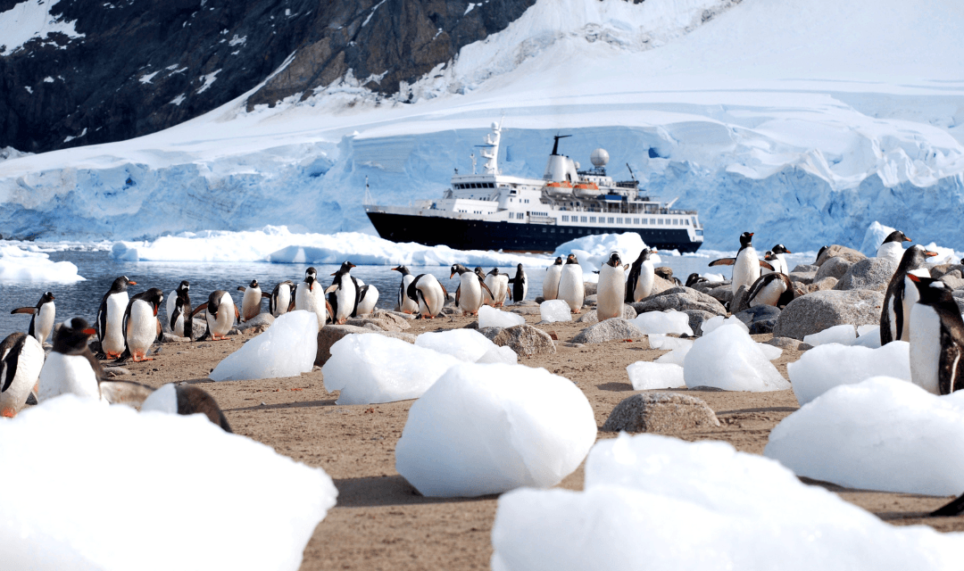 Tour highlight image