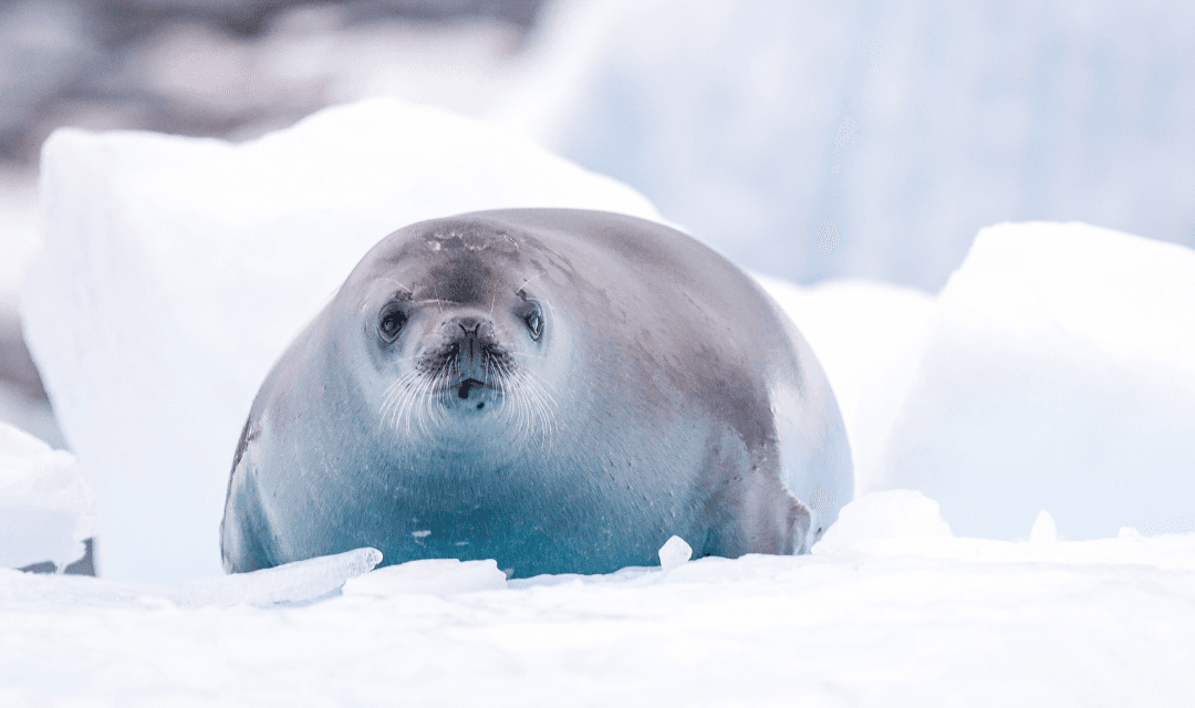 Tour highlight image