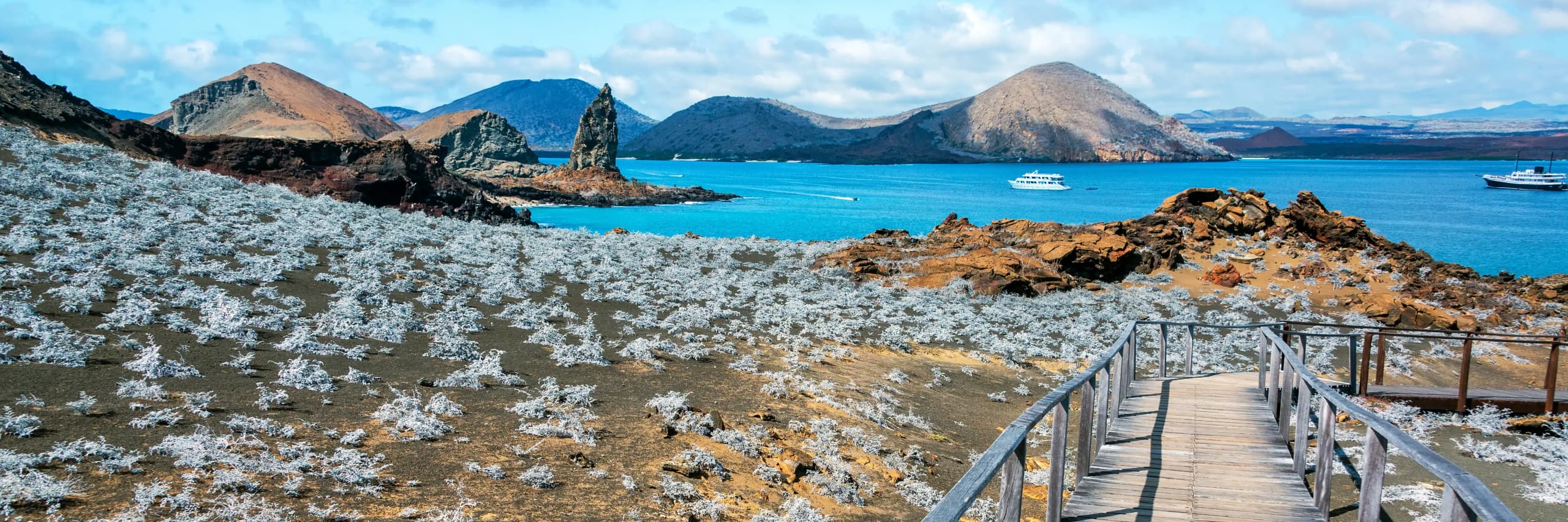 Hot Offers Hero Image