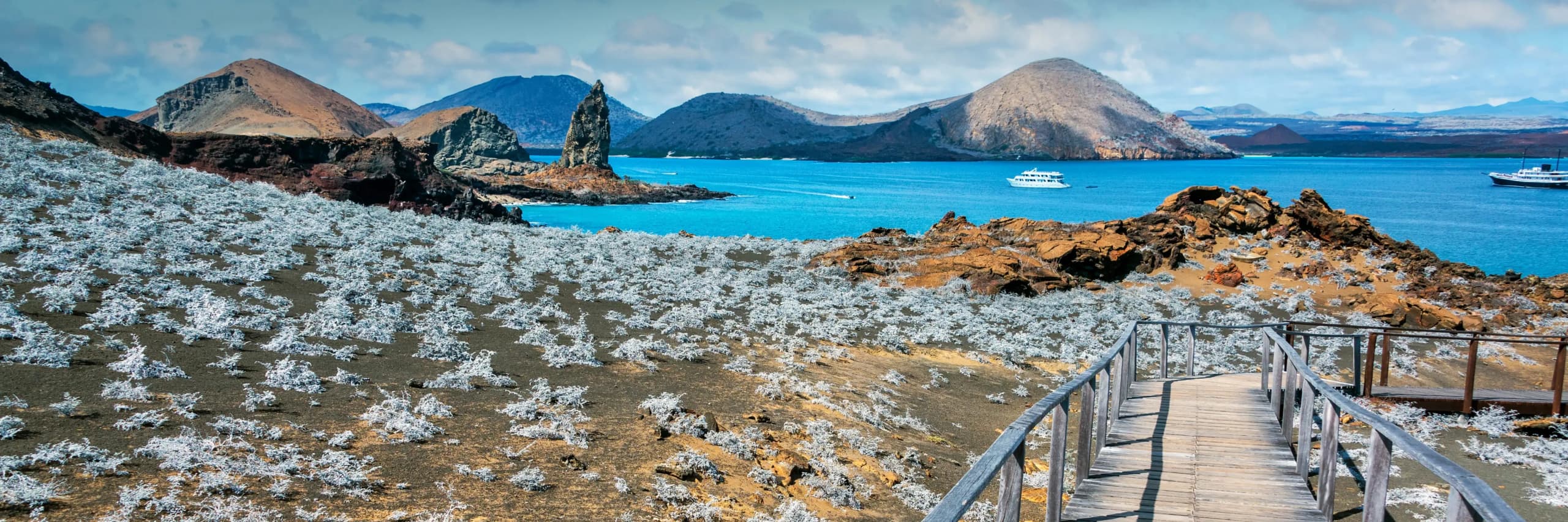 Hot Offers Hero Image