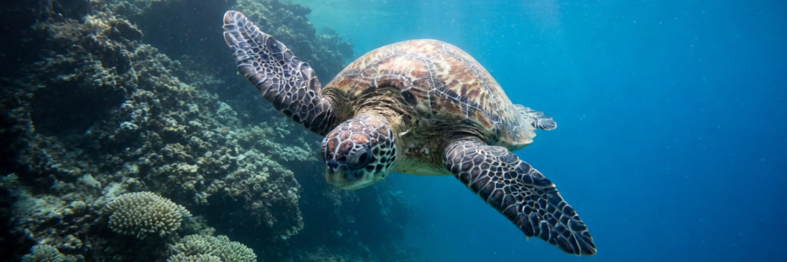 Hot Offers Hero Image