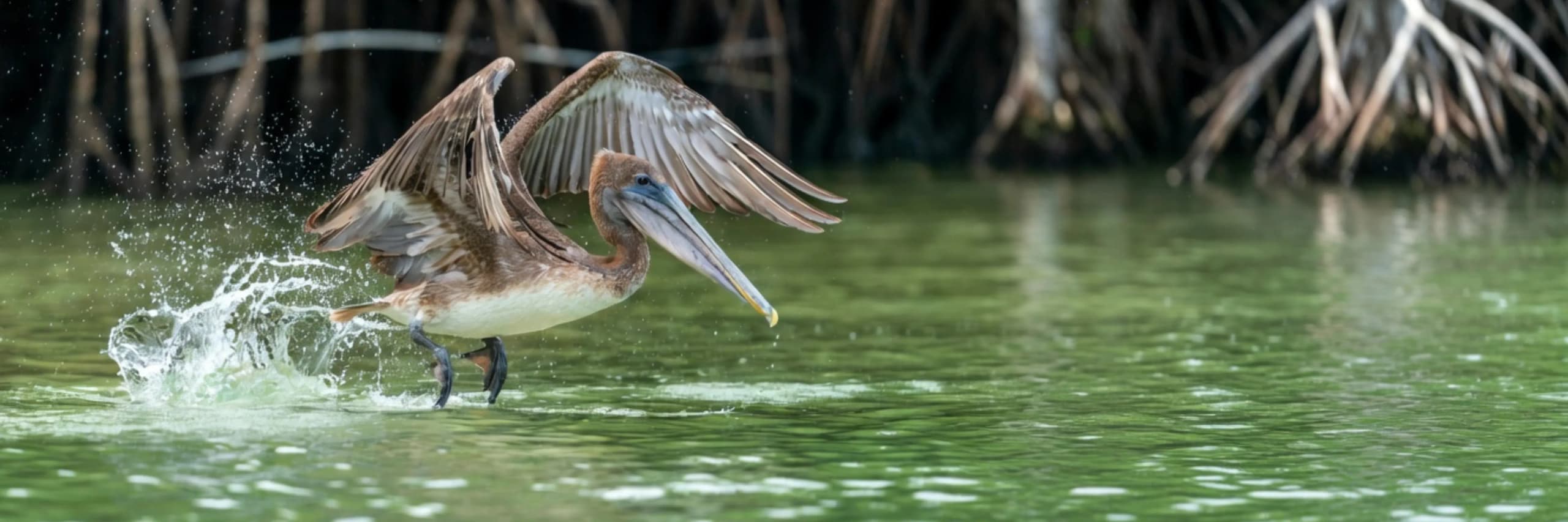 Hot Offers Hero Image