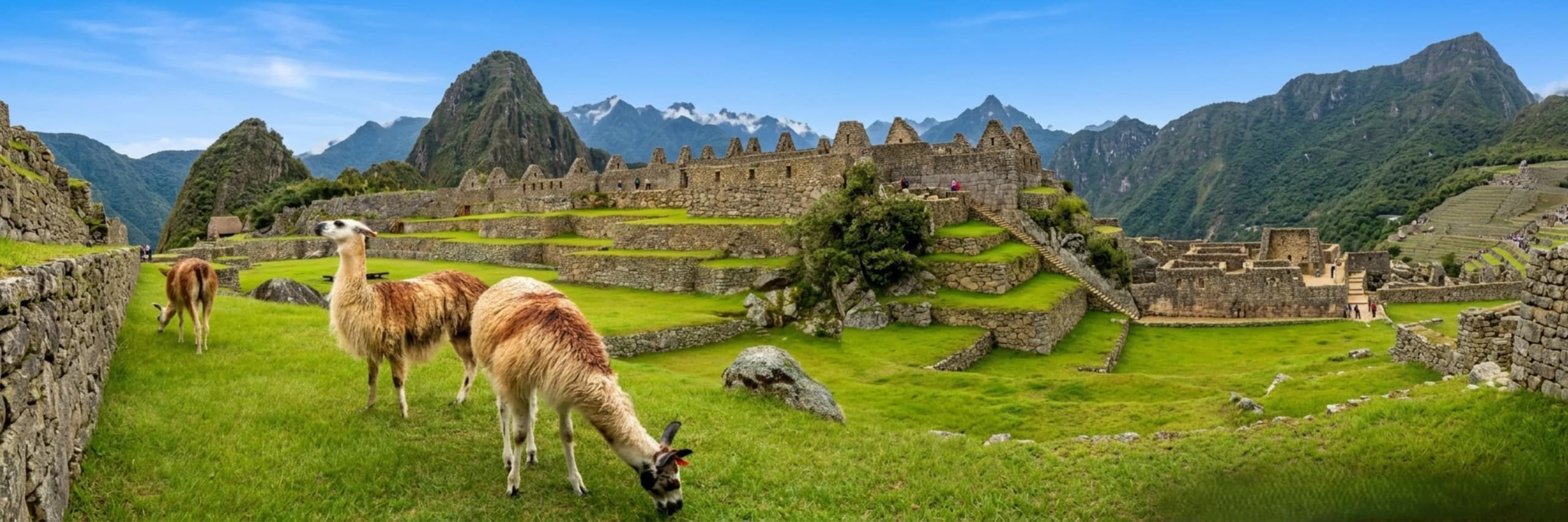 Hot Offers Hero Image