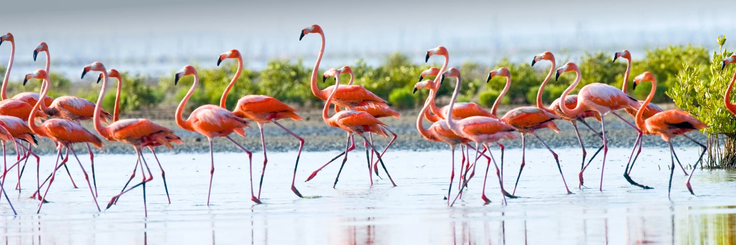 Hot Offers Hero Image