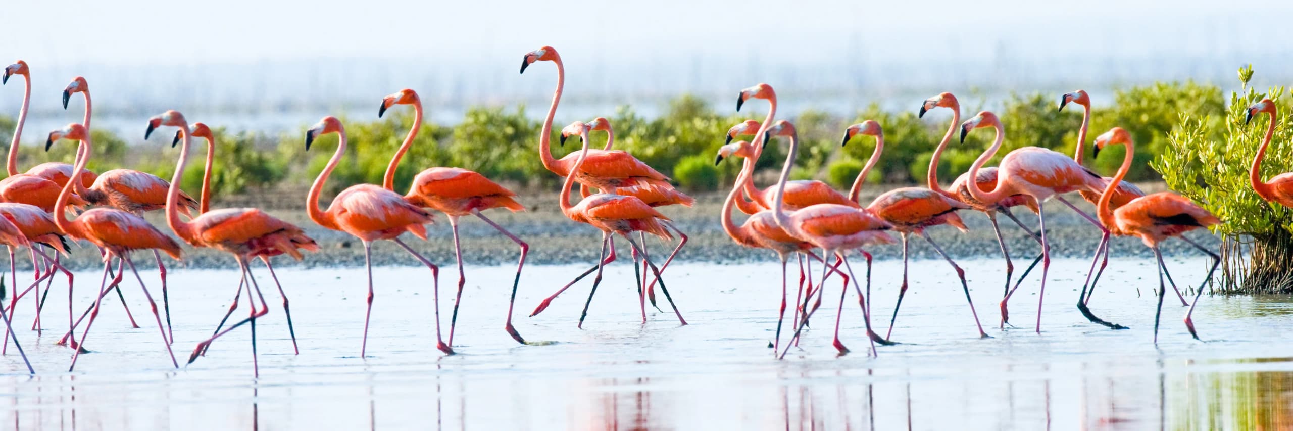 Hot Offers Hero Image