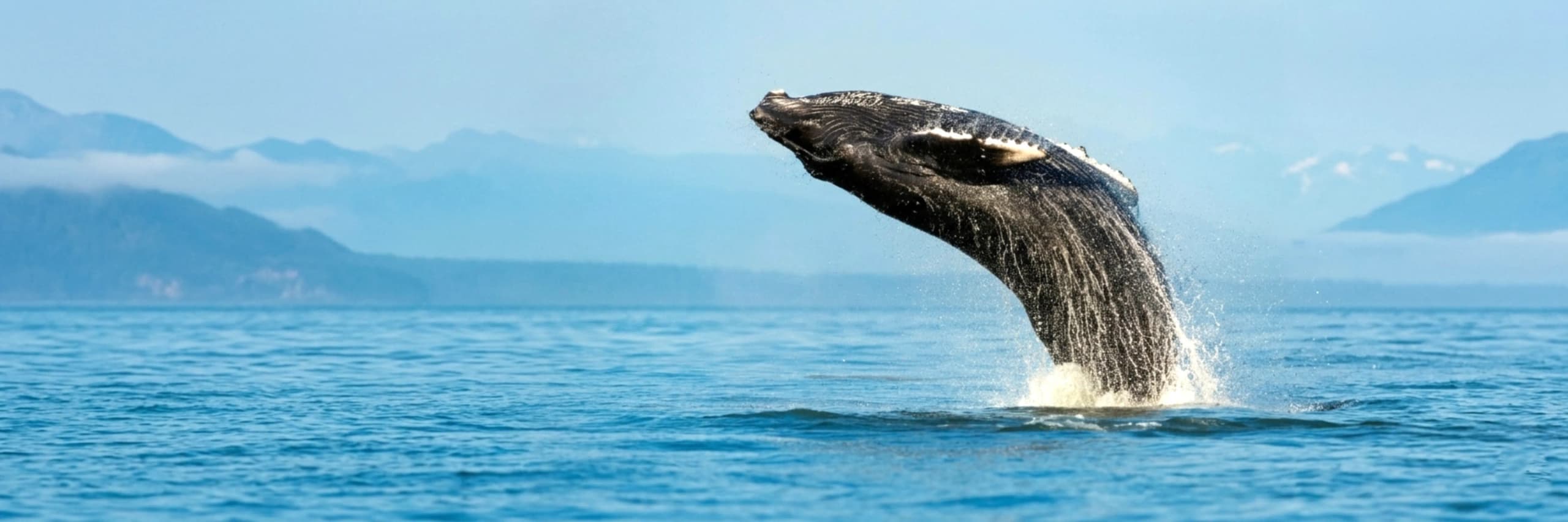 Itinerary destination image