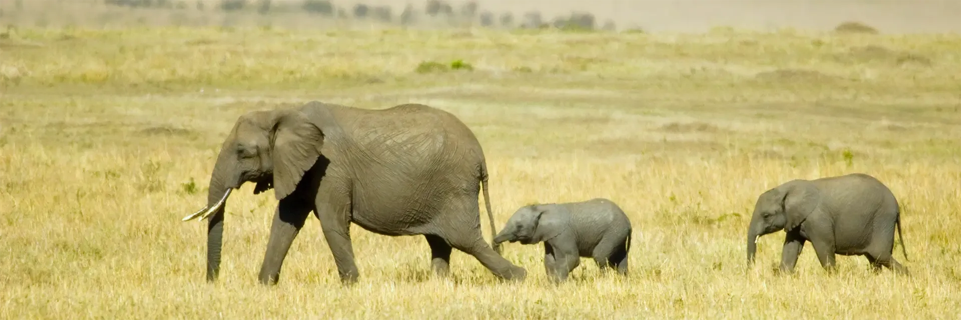 Itinerary destination image