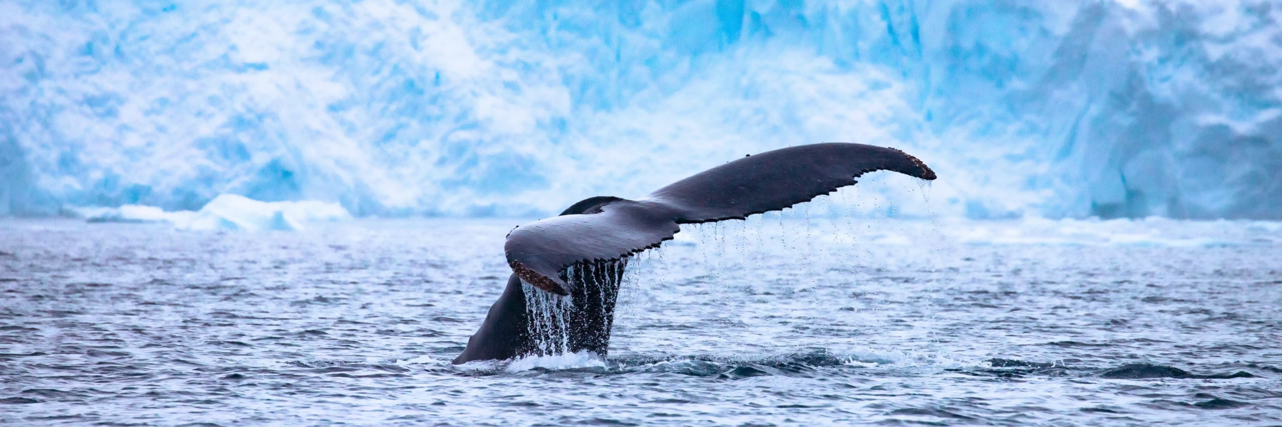 Itinerary destination image