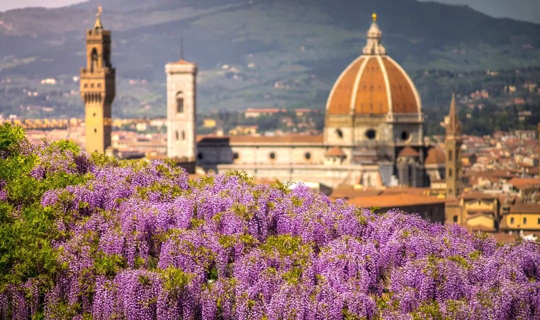 Tour highlight image