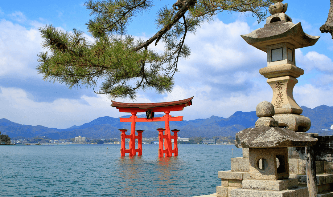 Tour highlight image