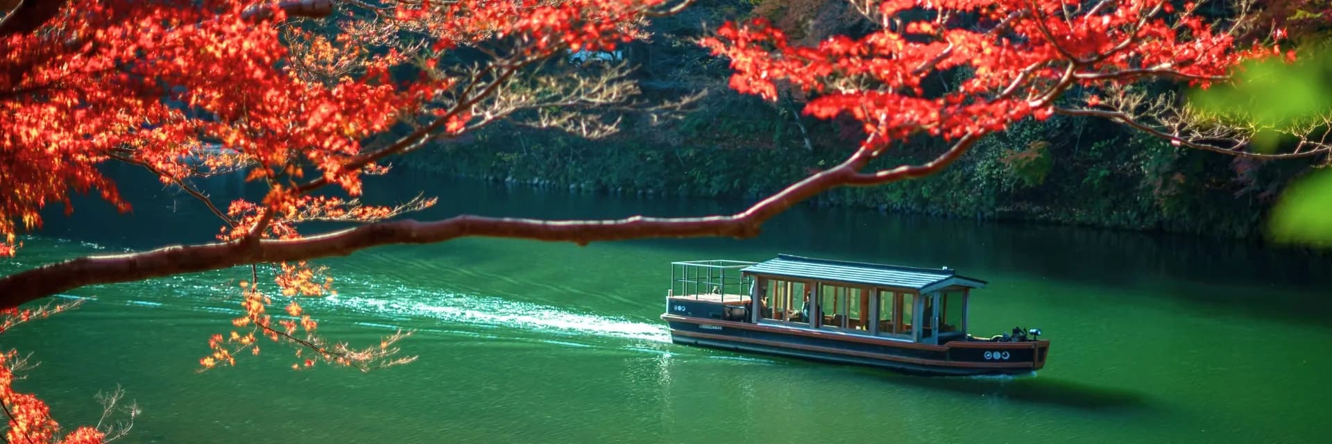 Japan in Bloom