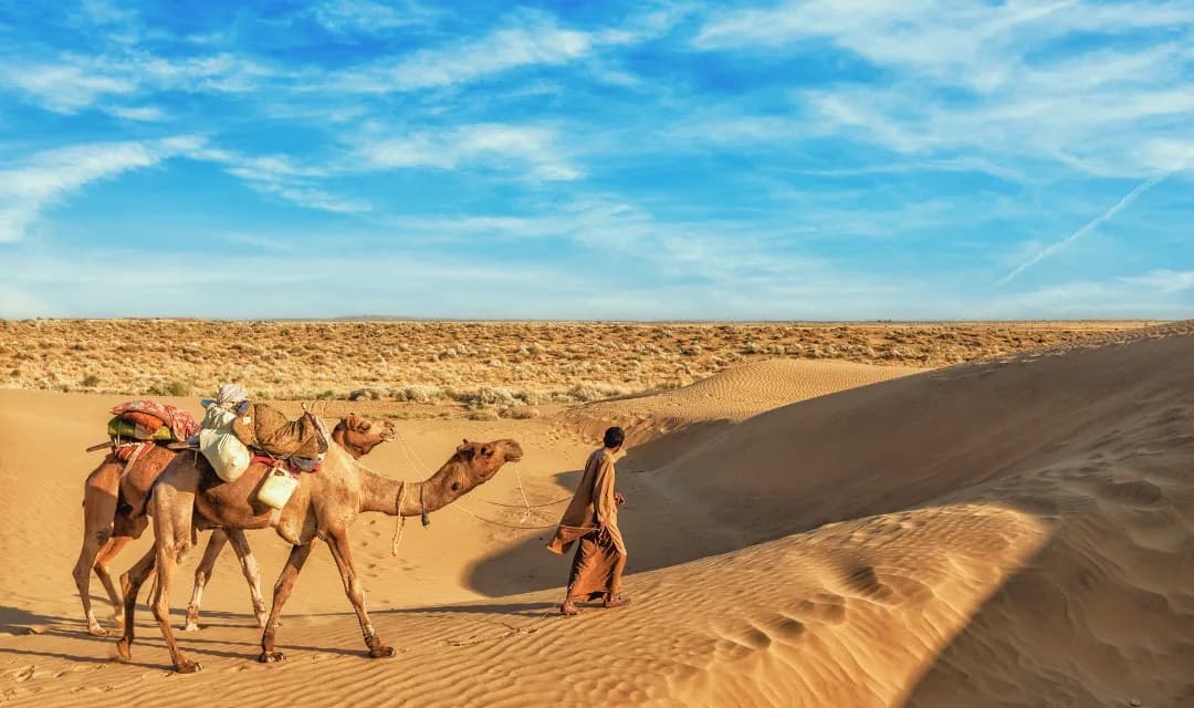 Luxurious Rajasthan