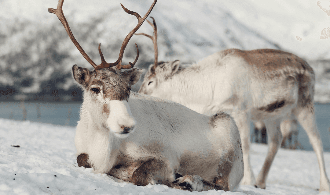 Tour highlight image