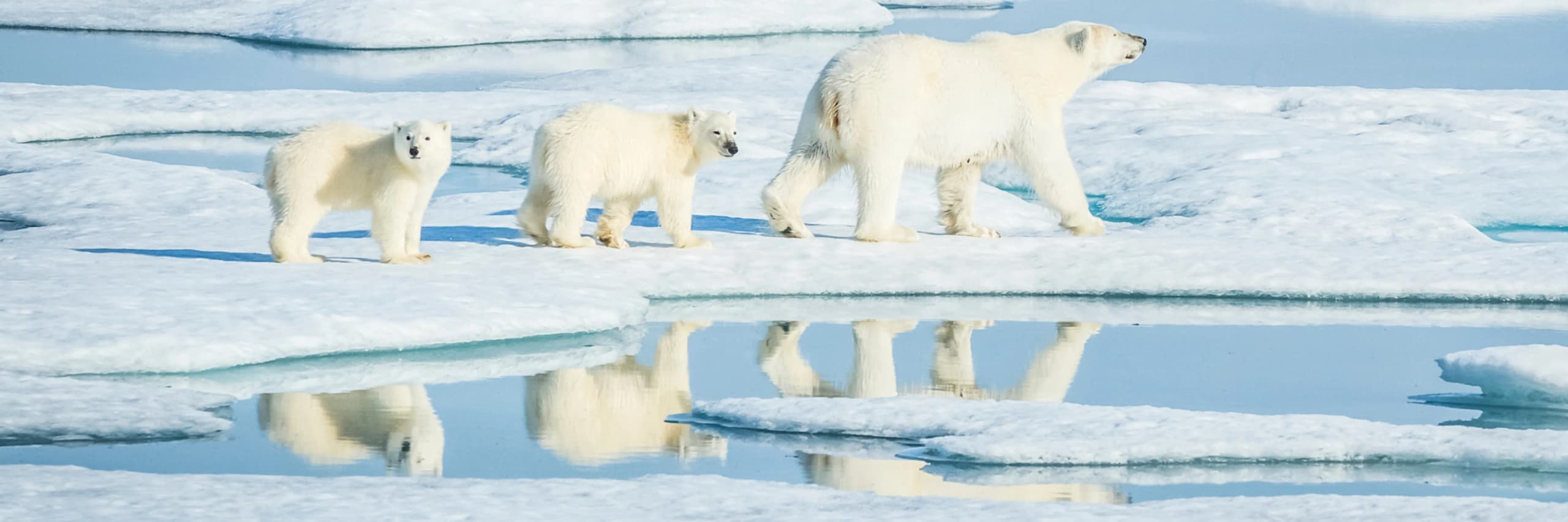 Itinerary destination image