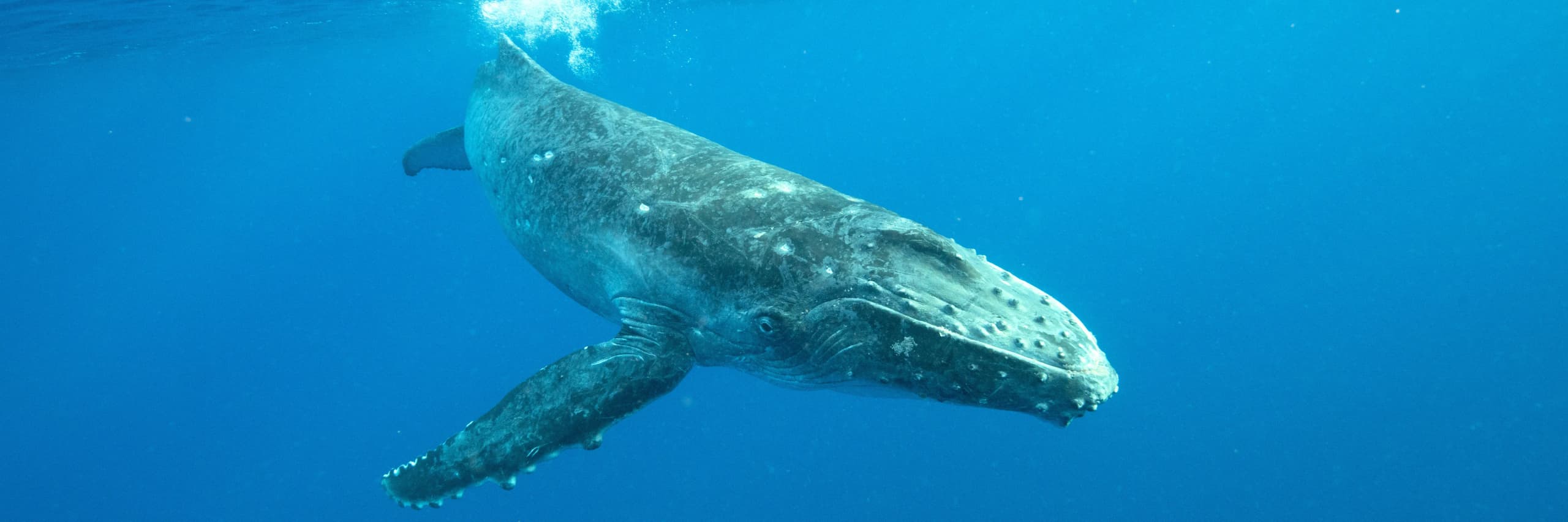 Itinerary destination image