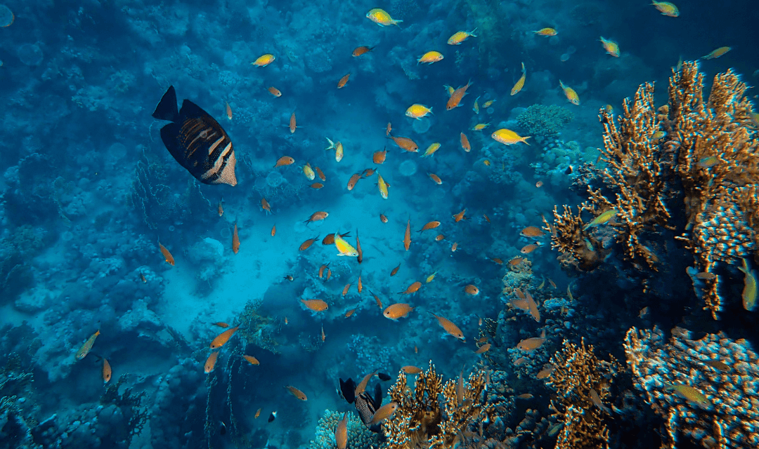 Tour highlight image