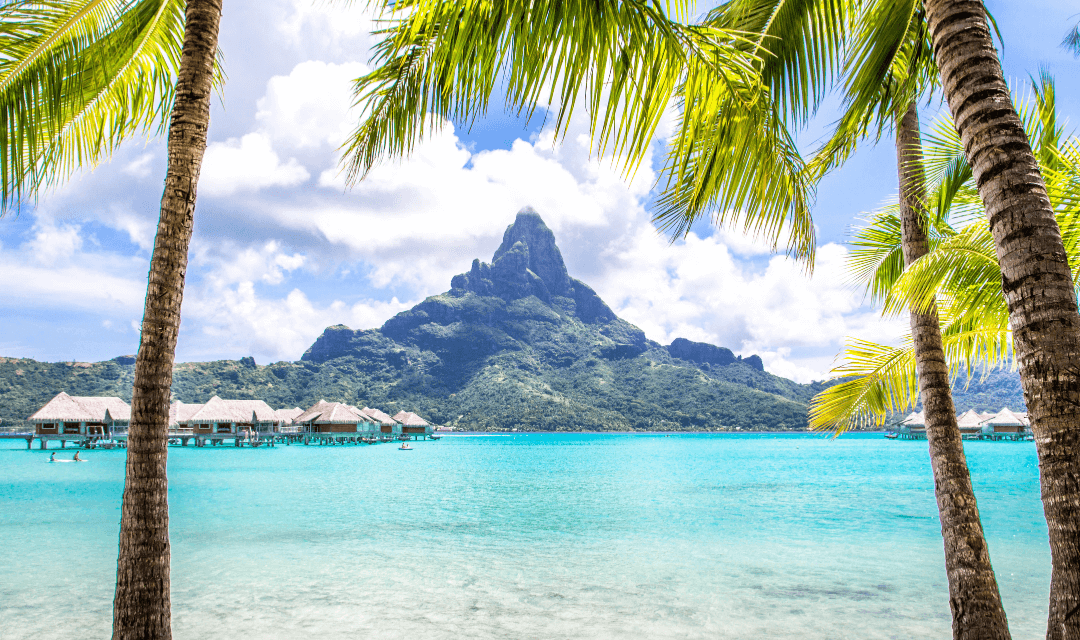 Tour highlight image