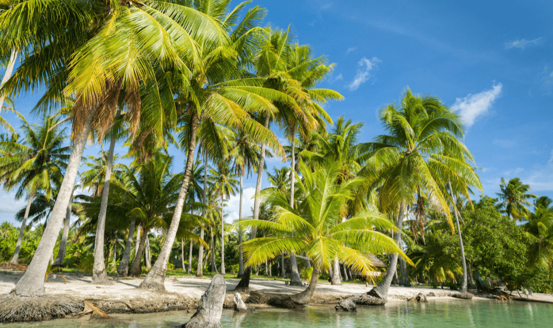 Tour highlight image