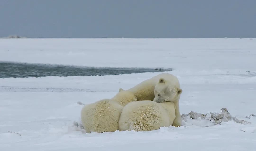 Tour highlight image