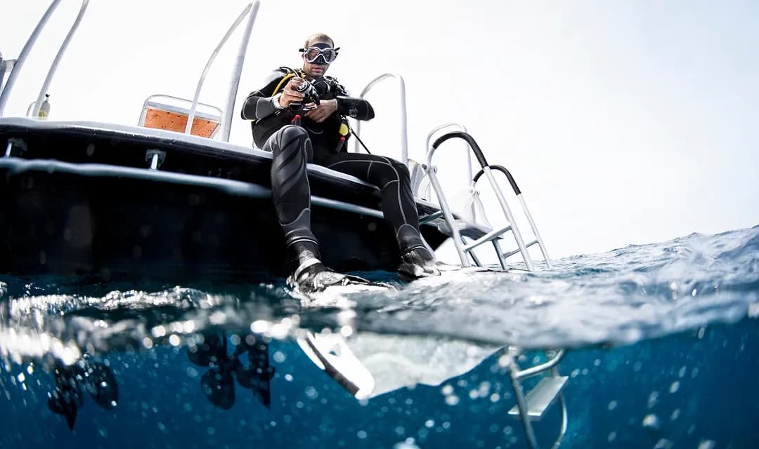 Tour highlight image