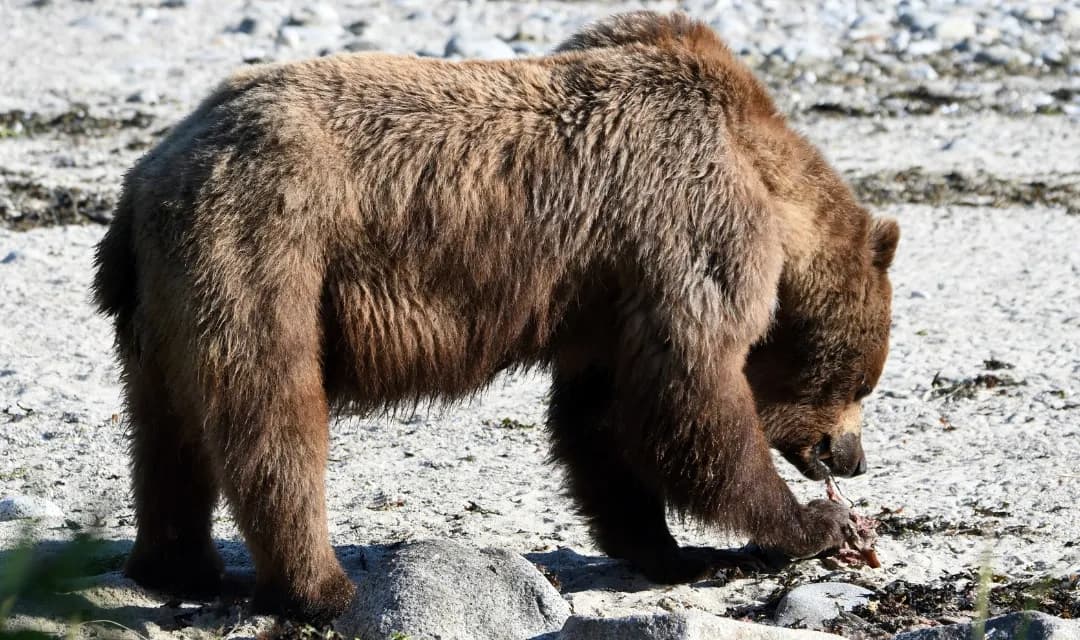 Tour highlight image