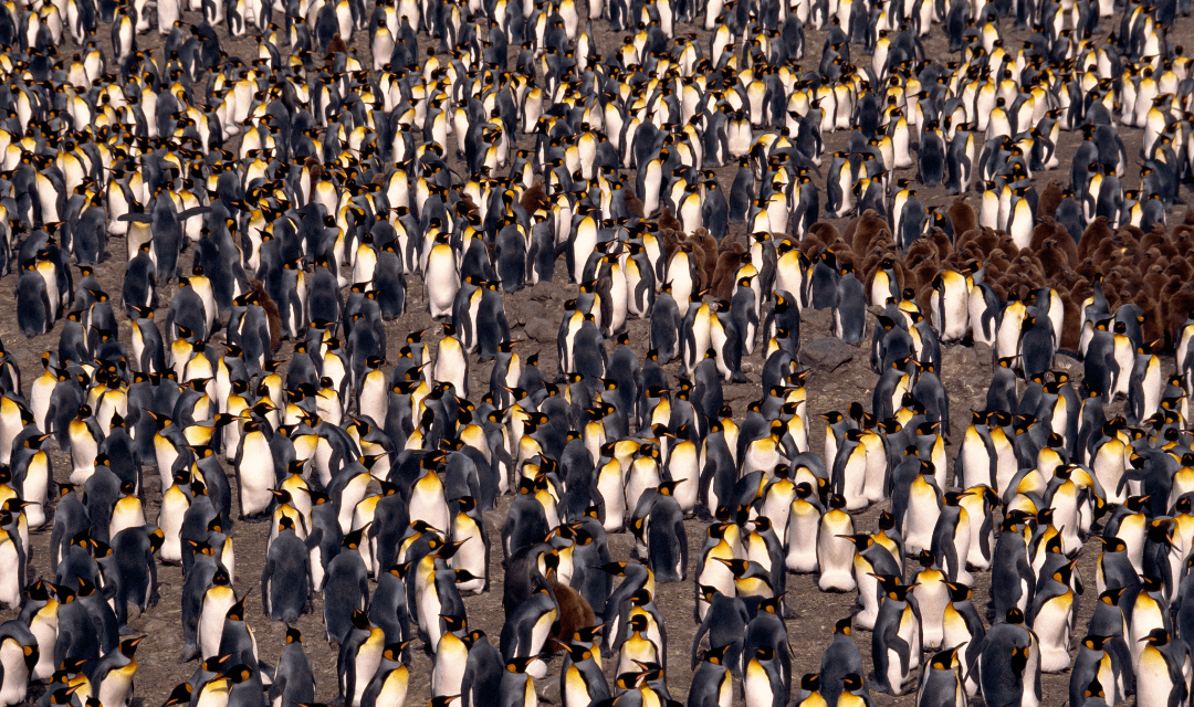 Tour highlight image