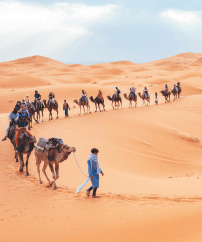 Desert Safari Morocco