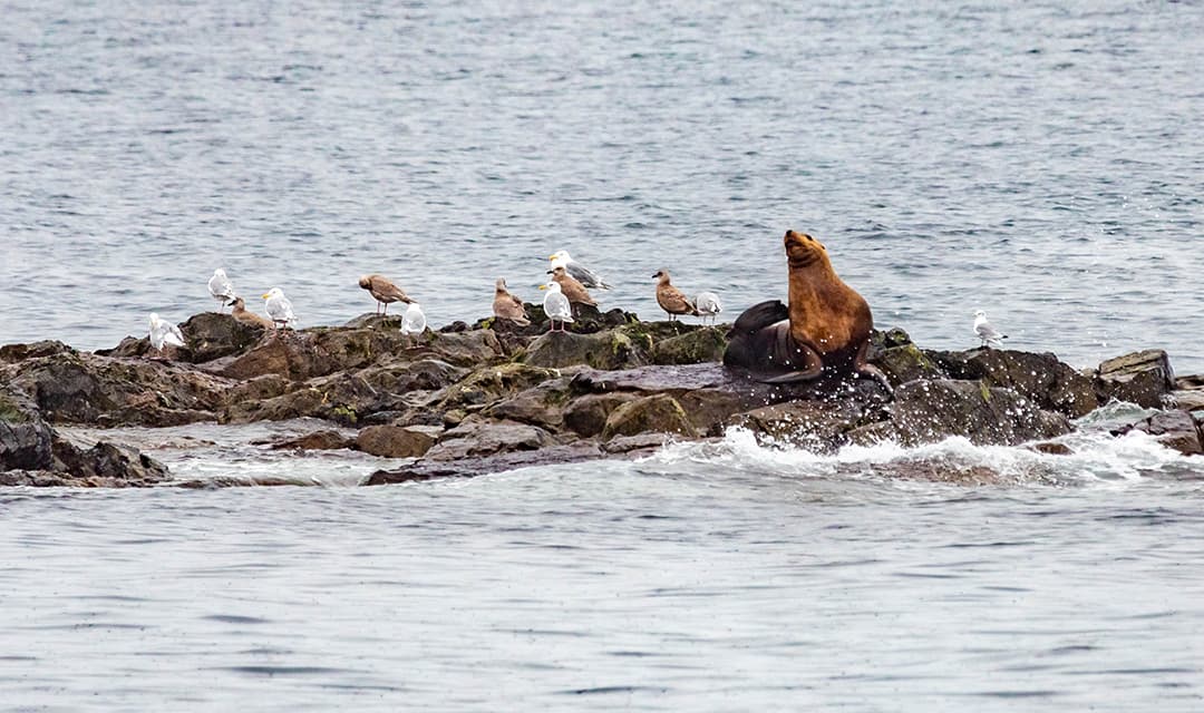 Tour highlight image