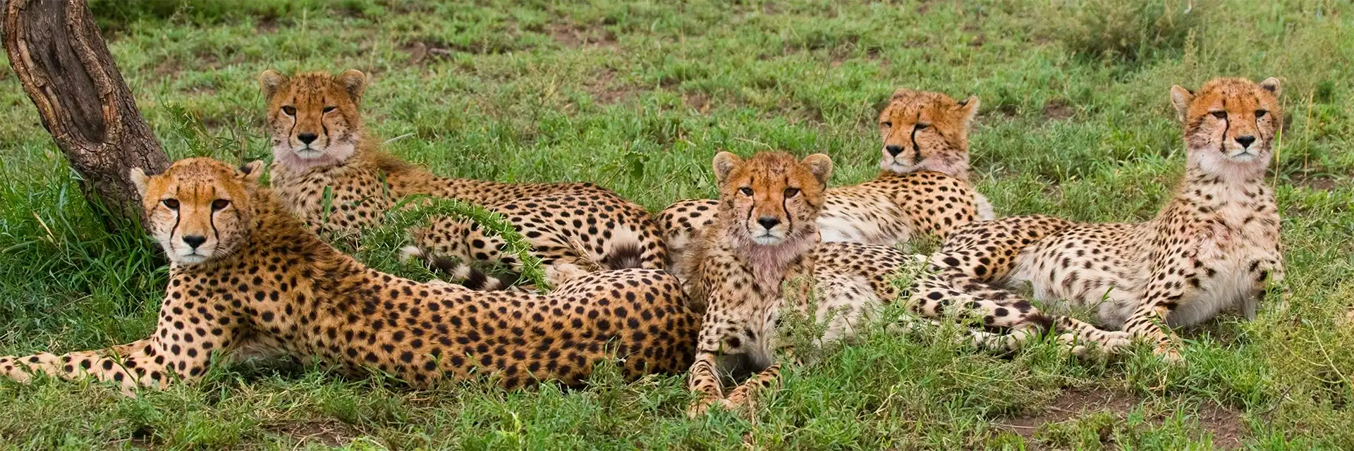 ItinerarysearchHeroImage-2