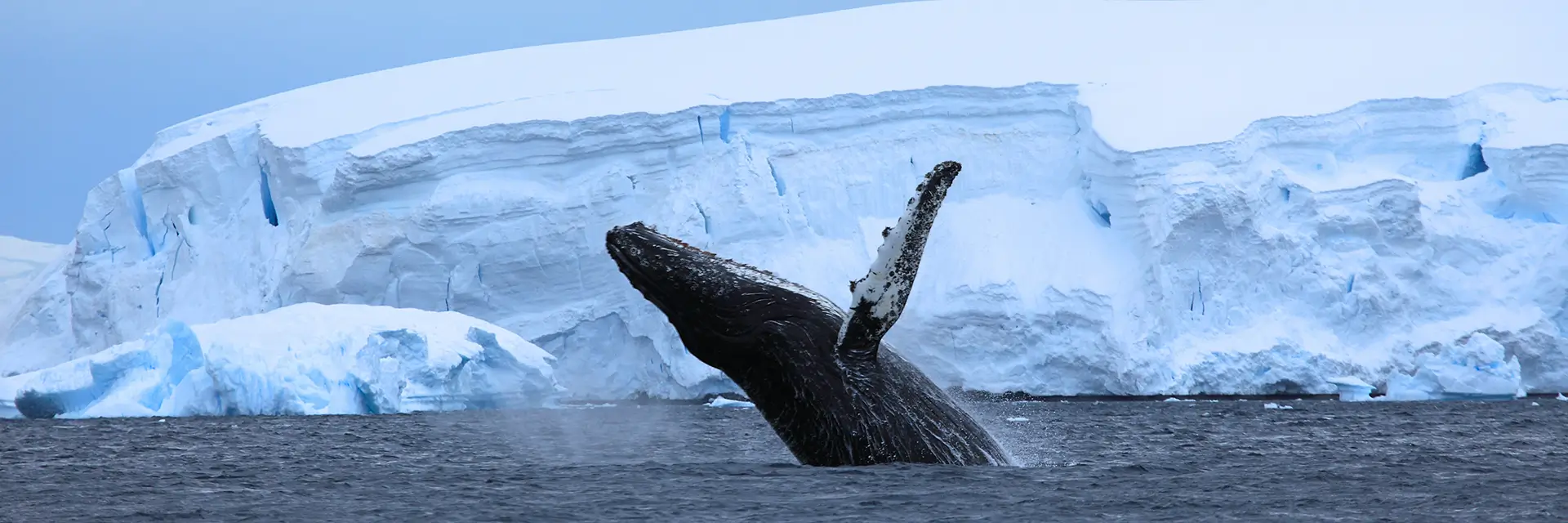 ItinerarysearchHeroImage-5